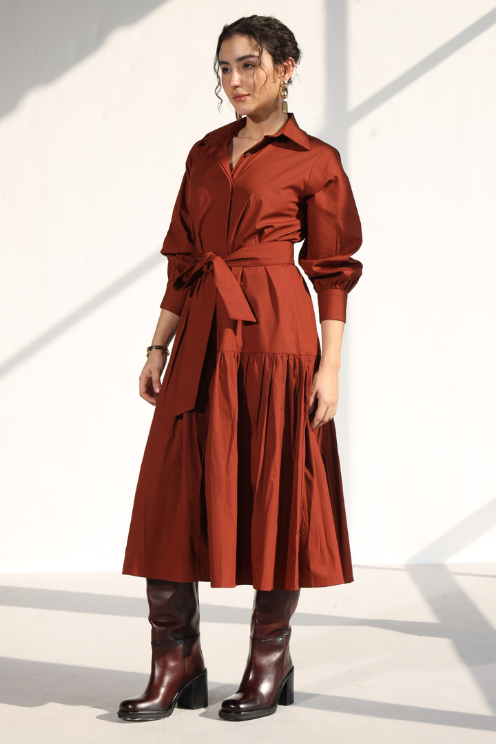 Poshmark Pleated Dress - Rust
