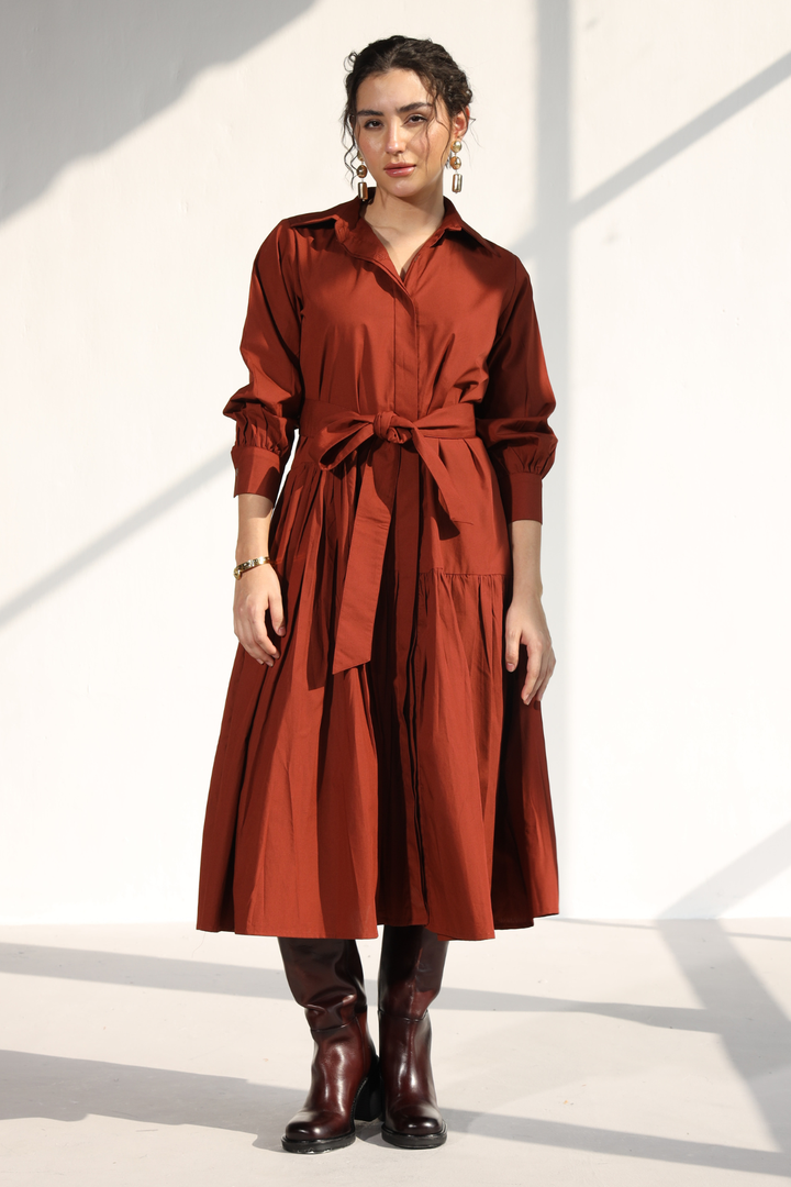 Poshmark Pleated Dress - Rust
