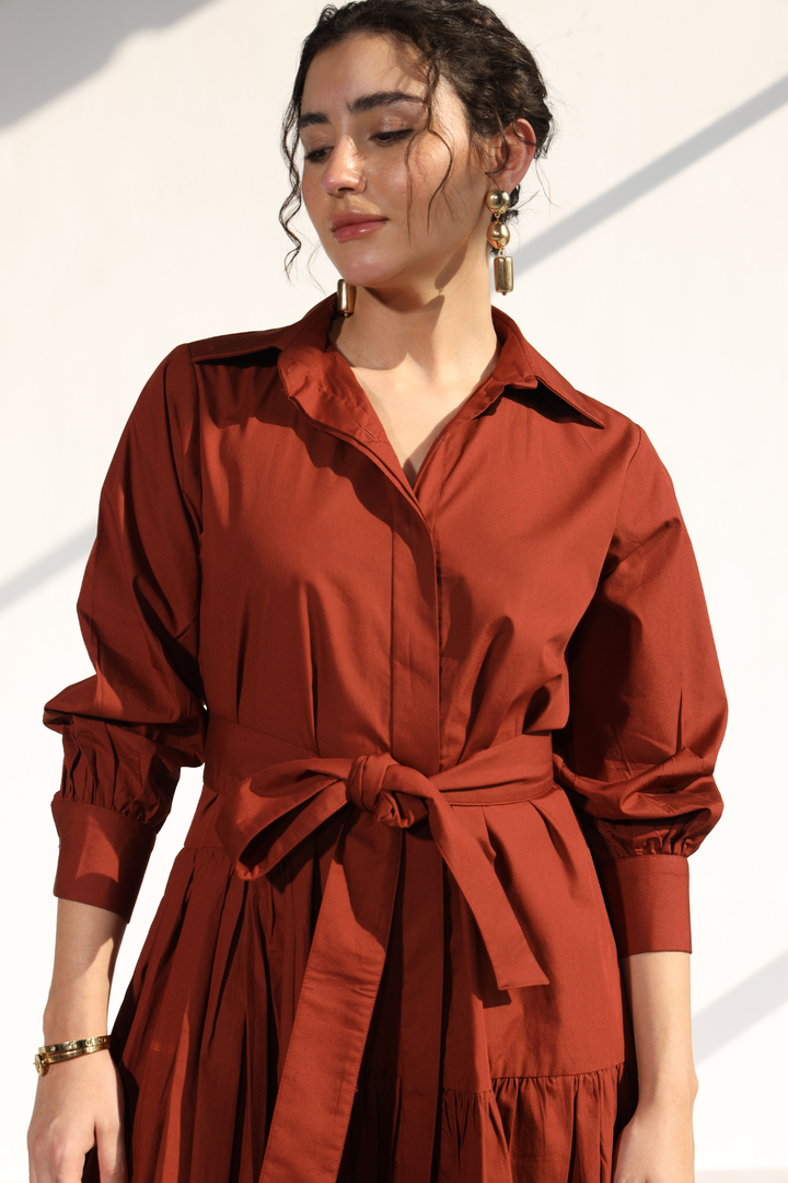 Poshmark Pleated Dress - Rust