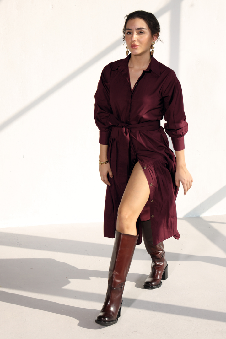 Poshmark Pleated Dress - Wine