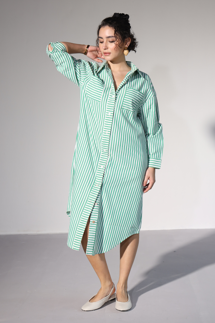 Delilah Urban Shirt Dress - Green Stripes
