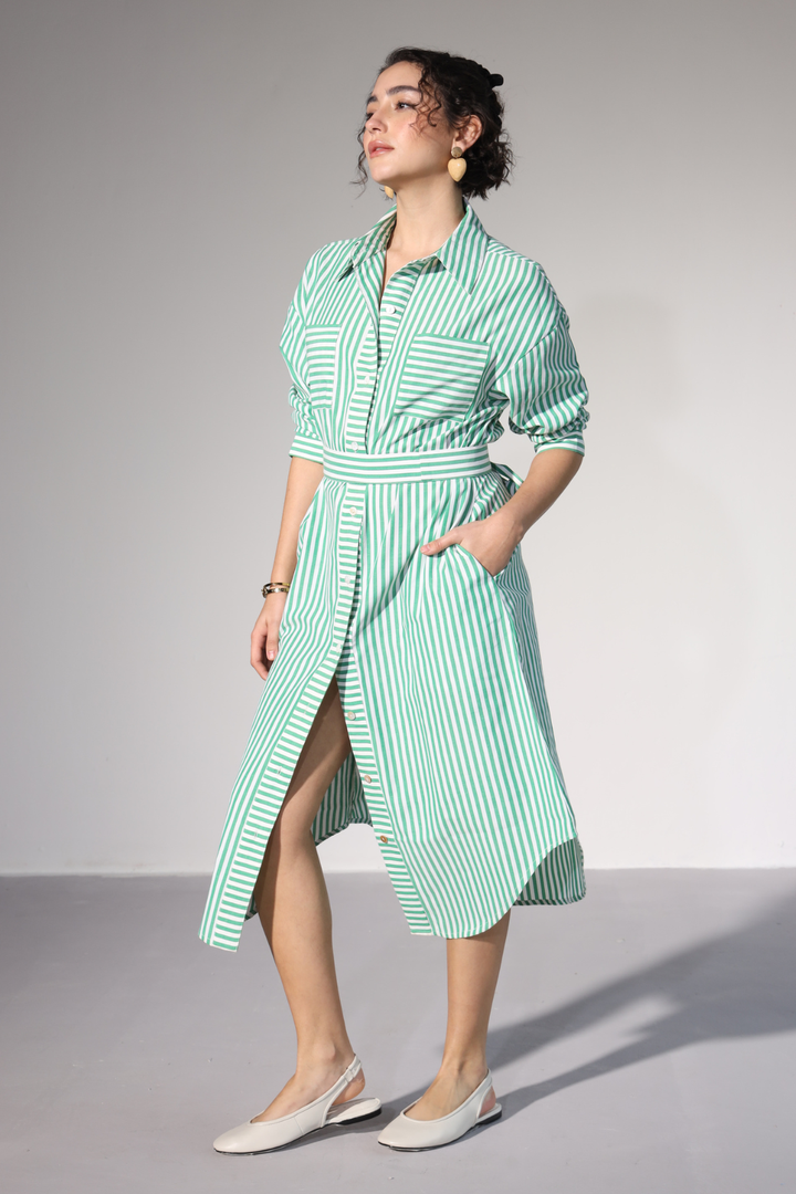 Delilah Urban Shirt Dress - Green Stripes