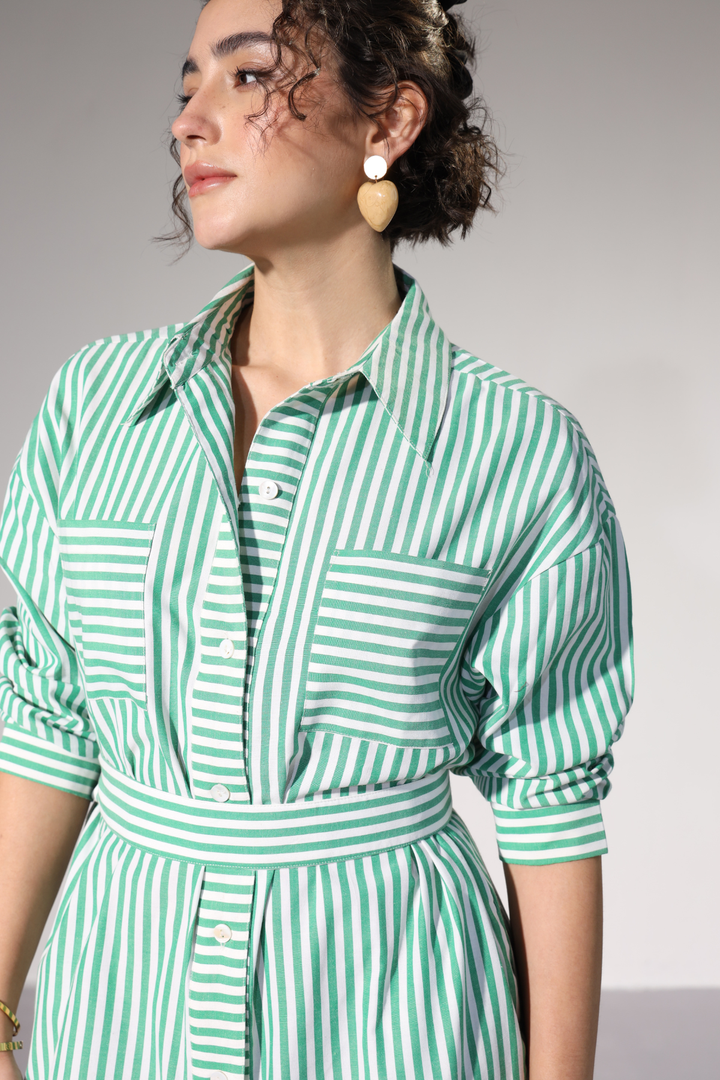 Delilah Urban Shirt Dress - Green Stripes
